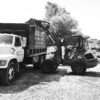 Mecalac wheel loader loading material into work truck