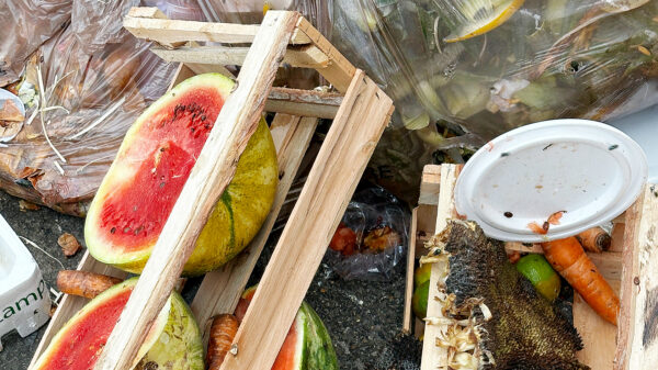 Discarded fruits, vegetables, and wooden produce crates in a food waste collection area for organics recycling.