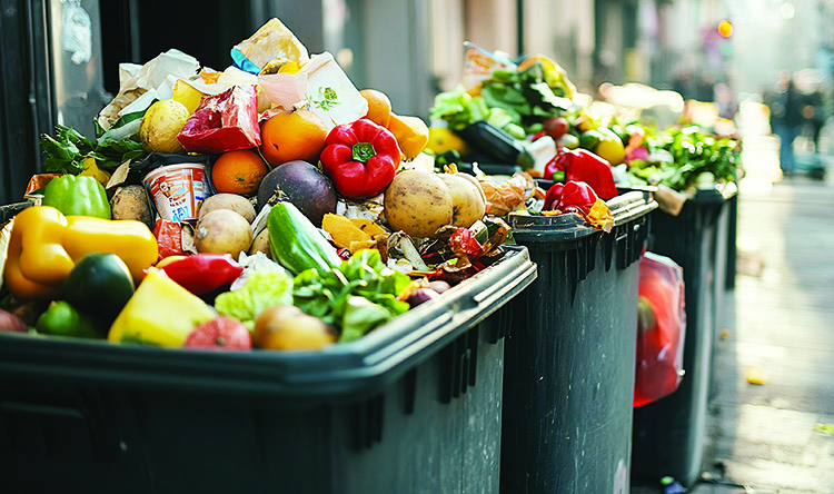 The challenge of food waste recycling