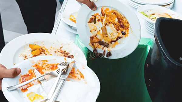 Leftover food scraped from dinner plates into a collection bin for food waste recycling or composting.