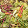 Food scraps and leafy vegetable waste collected for municipal composting and organics recycling.