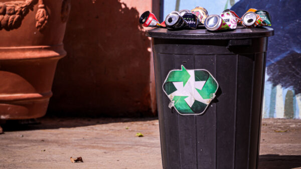 Recycling bin filled with recyclable materials at the curb