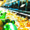 Glass bottles moving along a conveyor at a glass recycling facility.