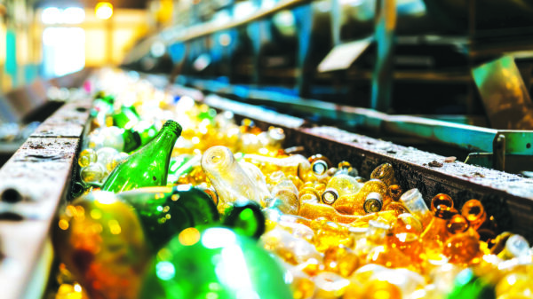 Glass bottles moving along a conveyor at a glass recycling facility.